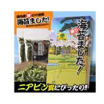 コンペ幹事におすすめニアピン賞景品「海苔ました」