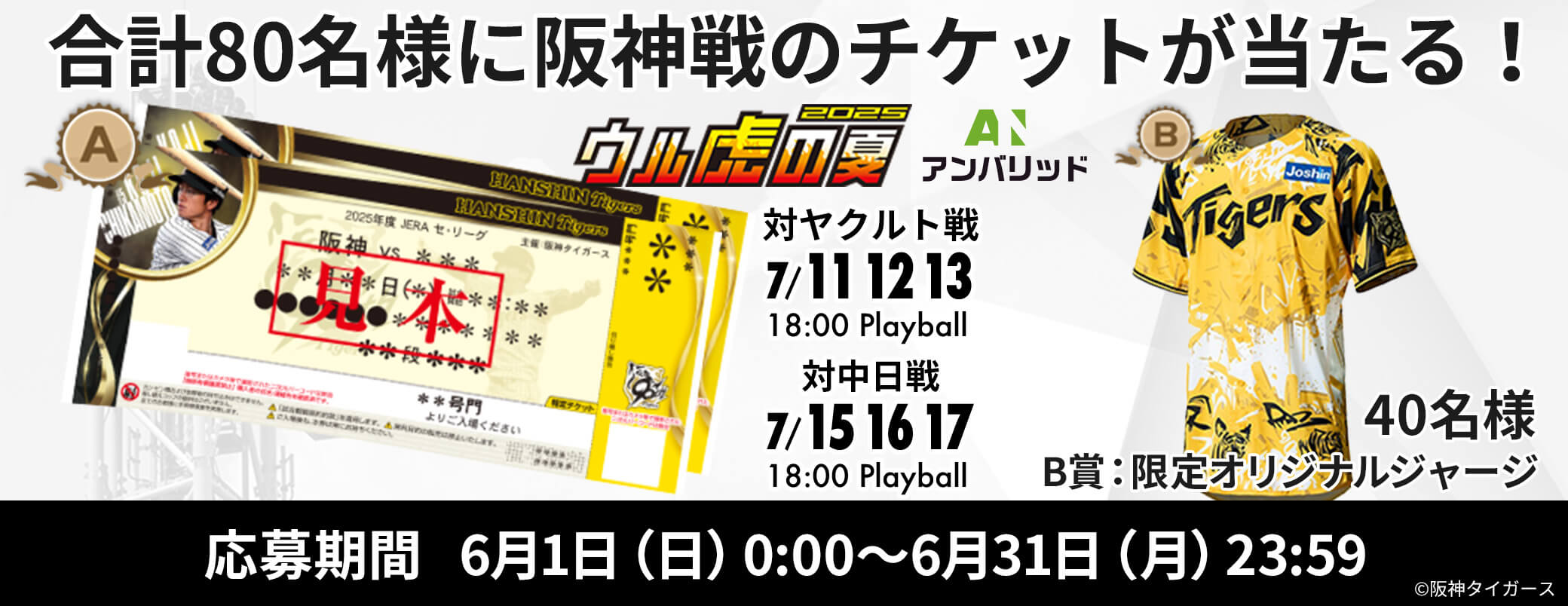 【セット！】阪神タイガース2025シーズン記念グッズ ✨新品・未使用✨セット！阪神タイガース2025シーズン記念グッズ